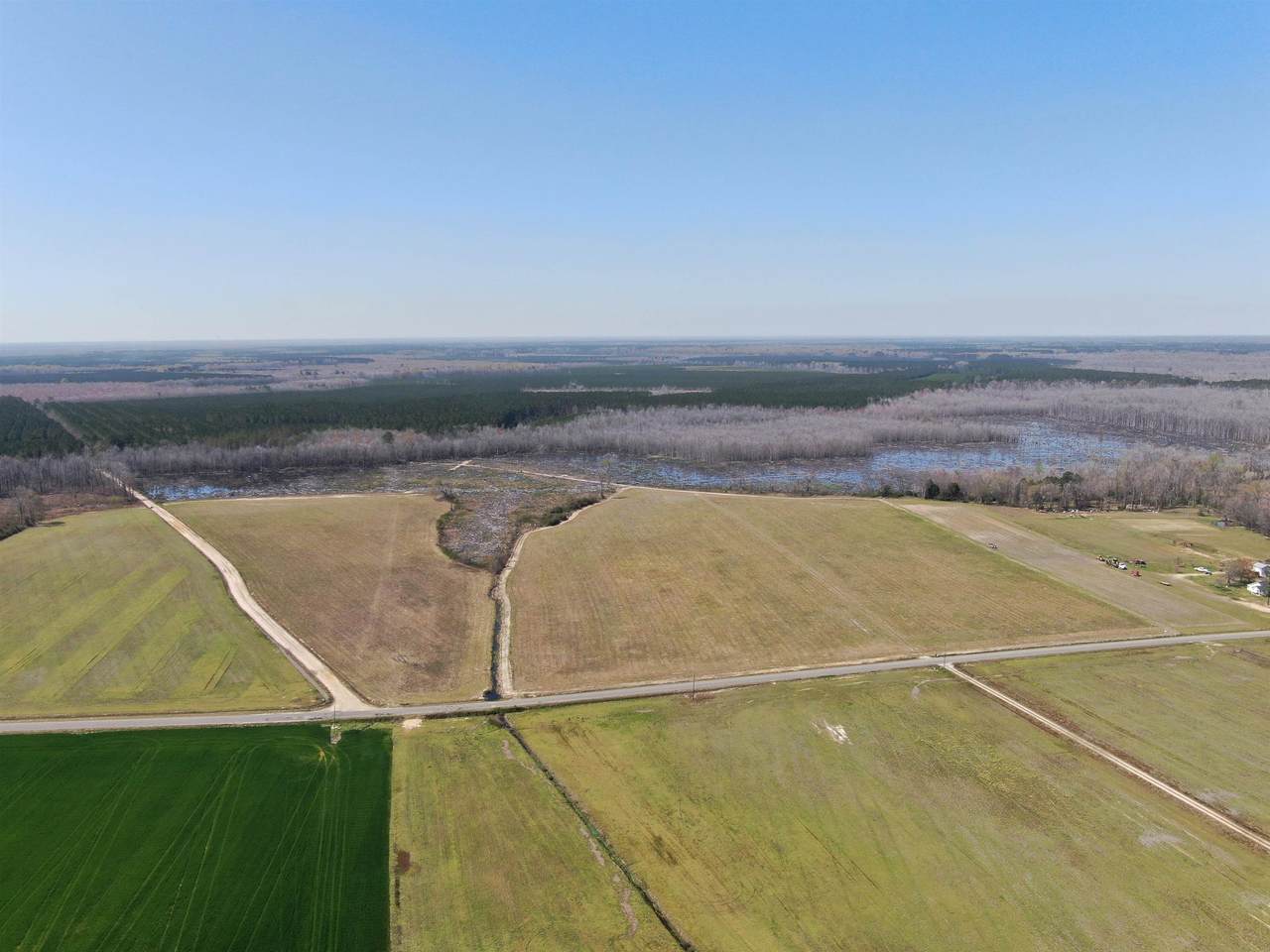 TBD Gum Swamp Rd. - Photo 1