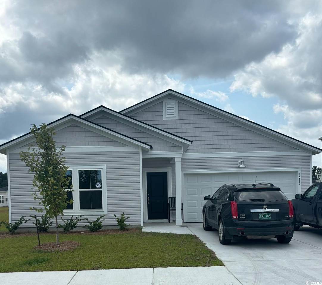 1033 Tibetan St. - Photo 1