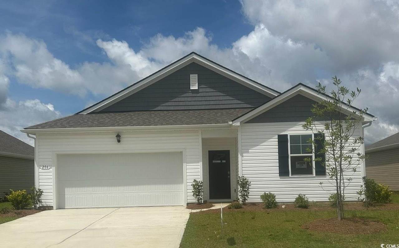 206 Hadley Springs Ave - Photo 1