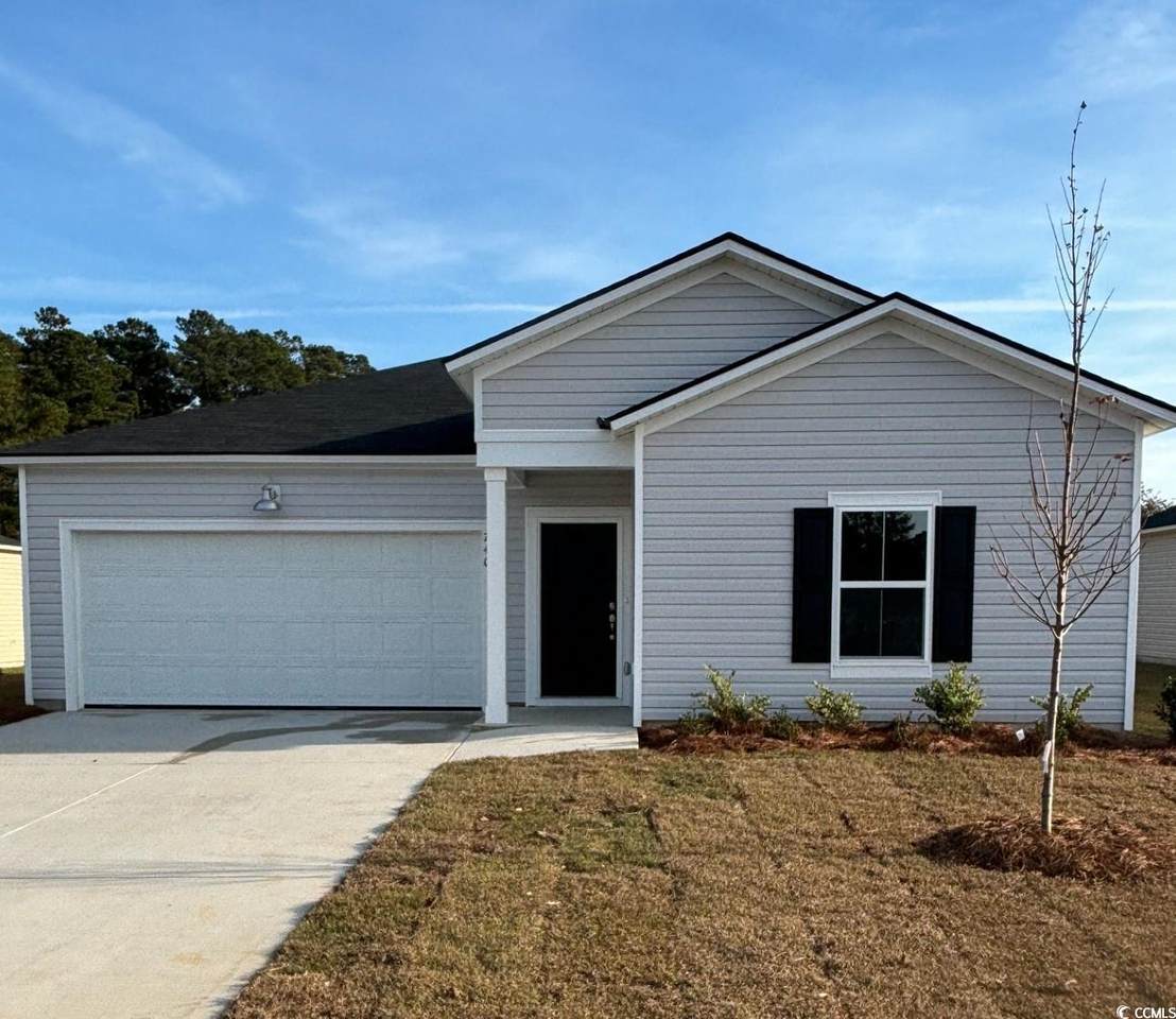 740 El Pepino Loop - Photo 1