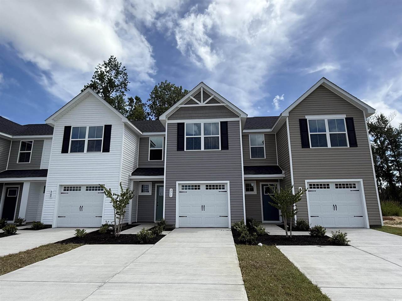 371 Myrtle Meadows Dr - Photo 1