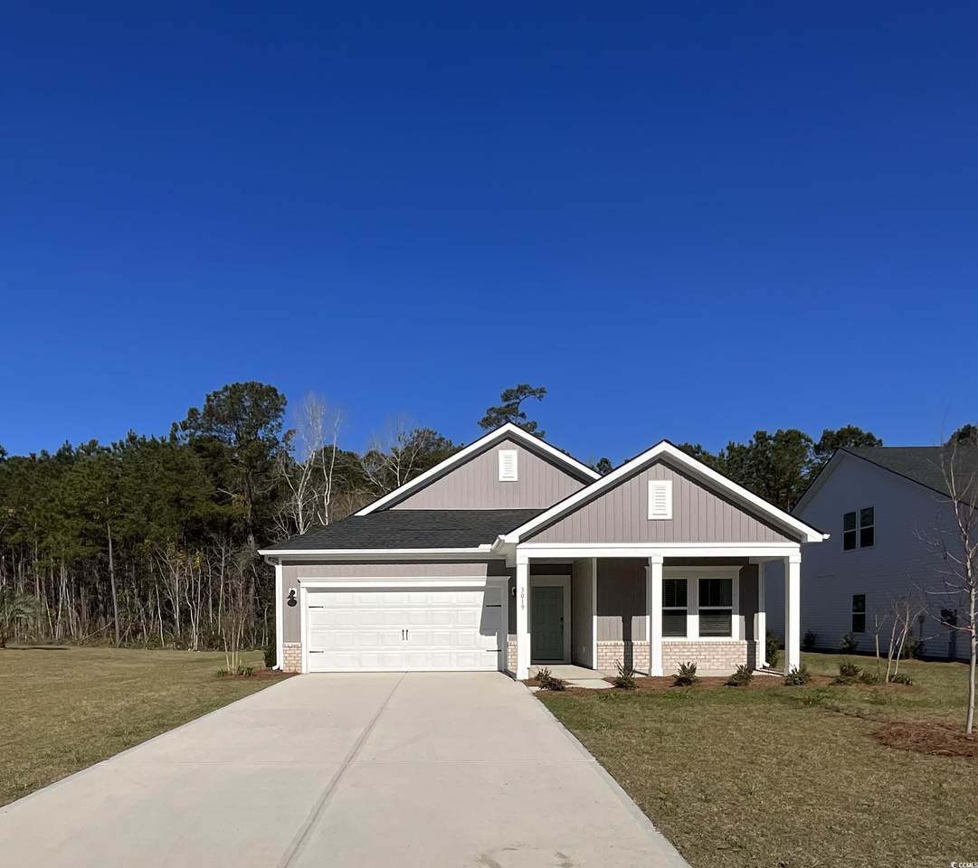 3019 Dover Branch Dr. - Photo 1