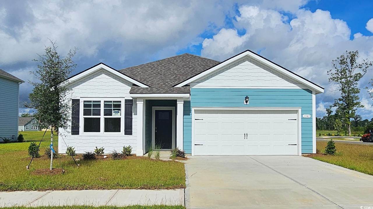1141 Black Lake Way - Photo 1