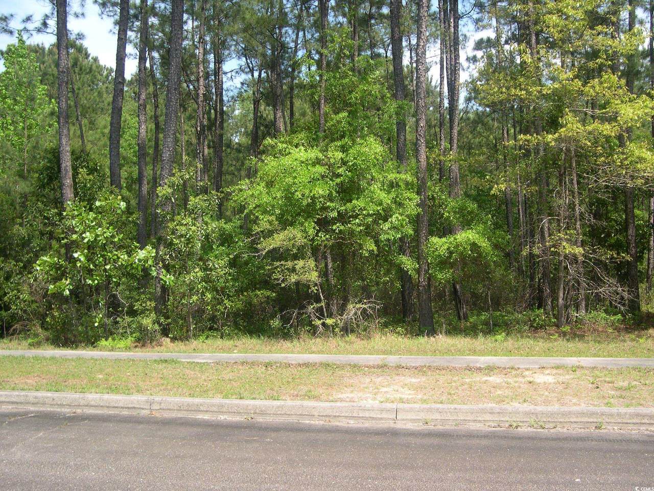 103 Pineberry Dr. - Photo 1