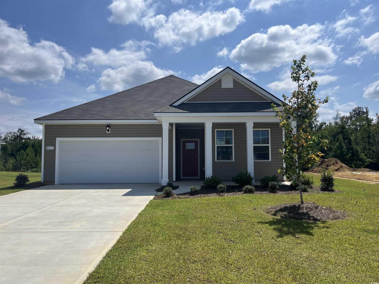 861 Farmers Passage Loop - Photo 1