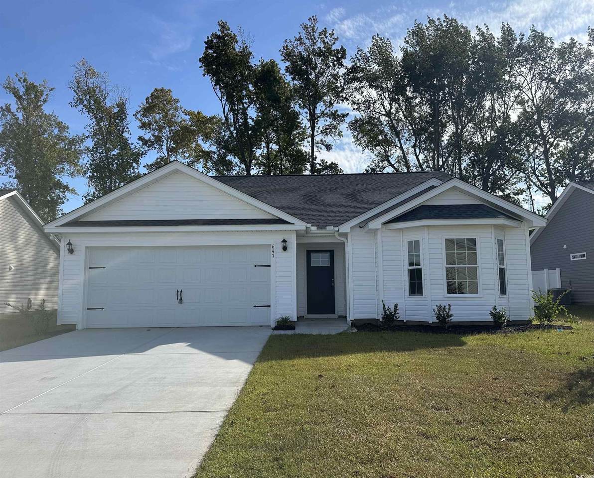 647 Snowy Owl Way - Photo 1