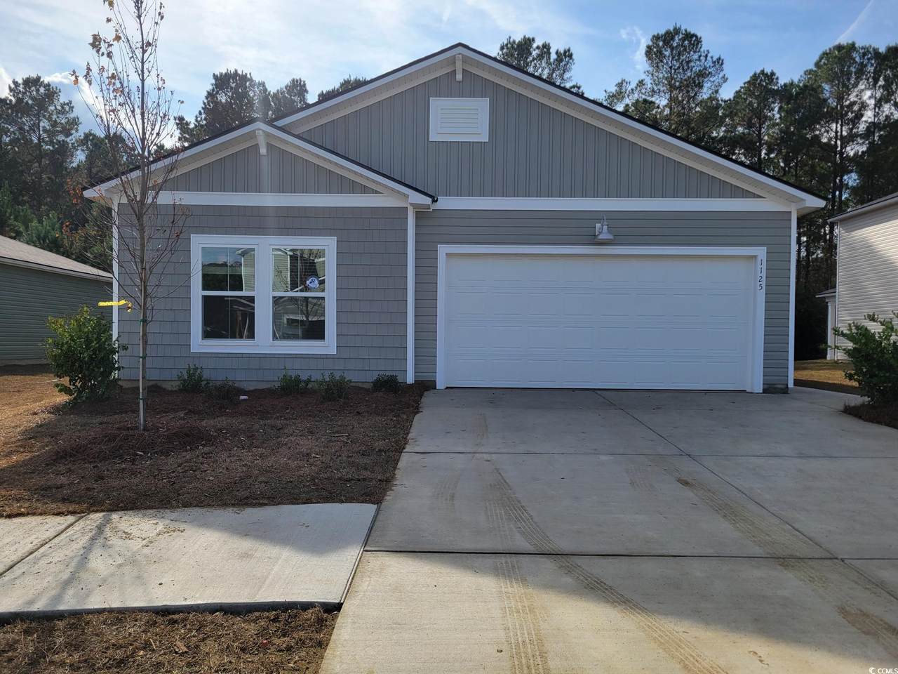 1125 Tibetan St. - Photo 1