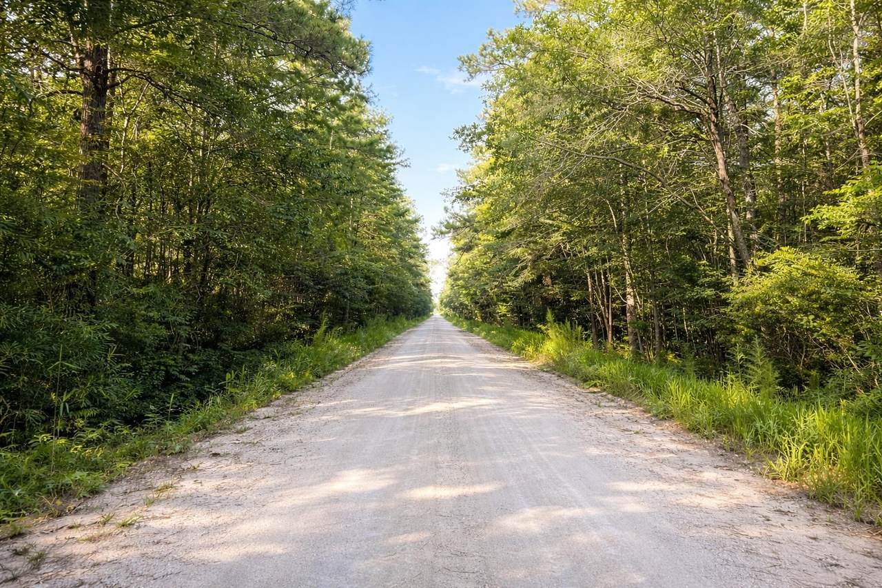 TBD Wolf Pit Bay Rd. - Photo 1