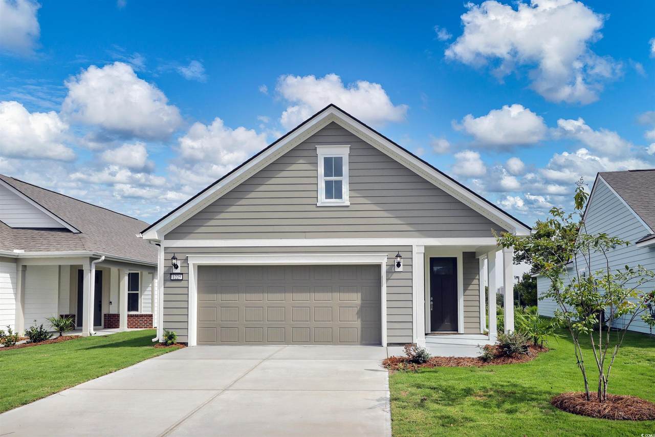 1225 Lady Bird Way - Photo 1