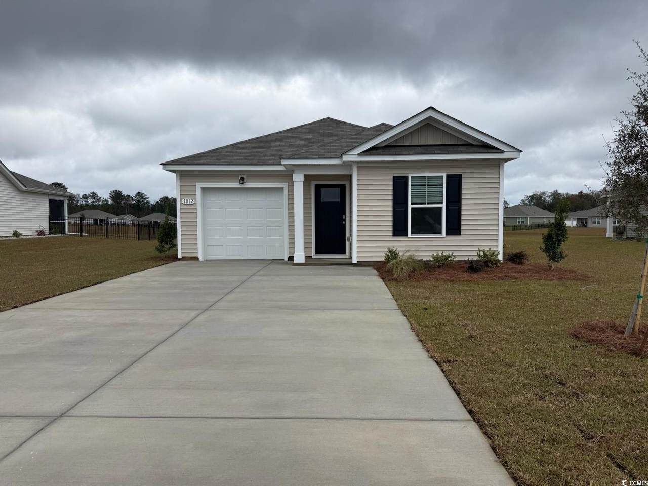 1012 Garden Sprout Dr - Photo 1