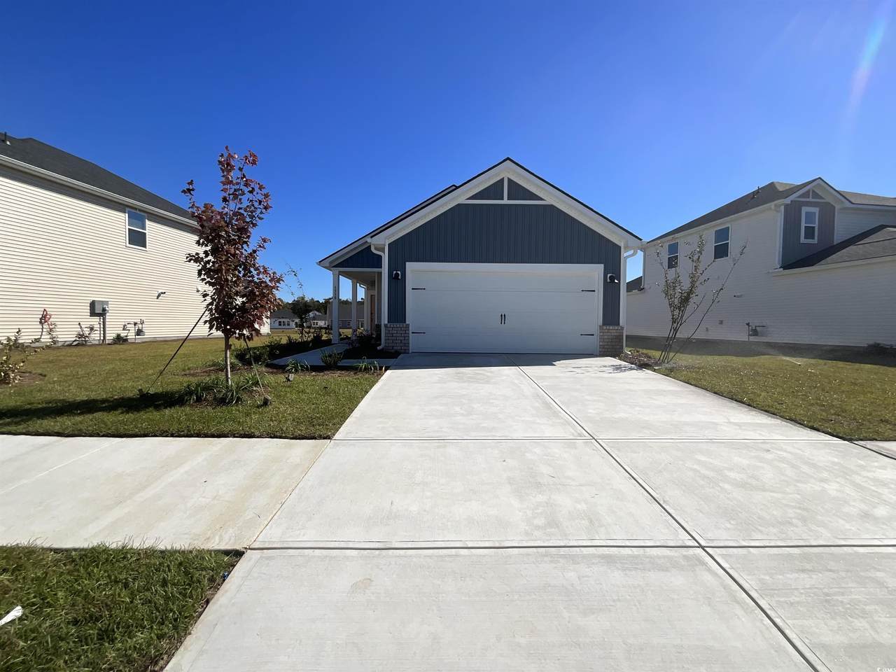 1538 Regal Fern Way - Photo 1