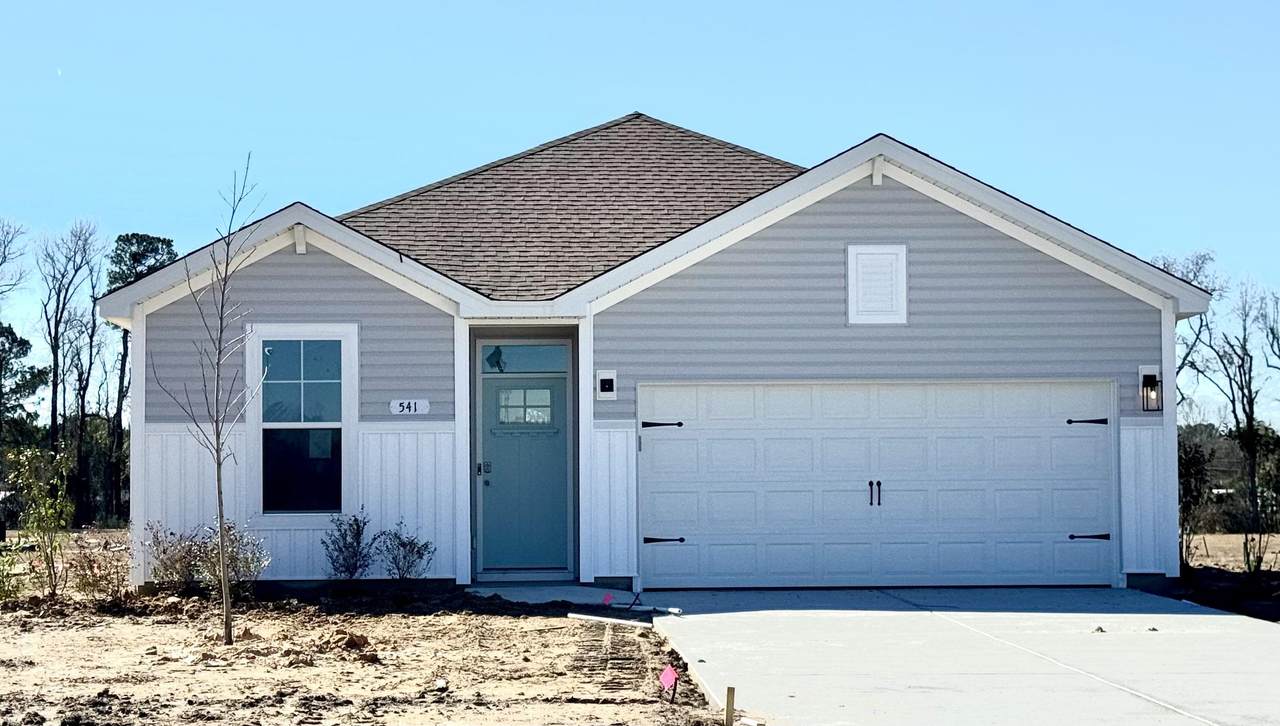 541 Briarfield Loop - Photo 1