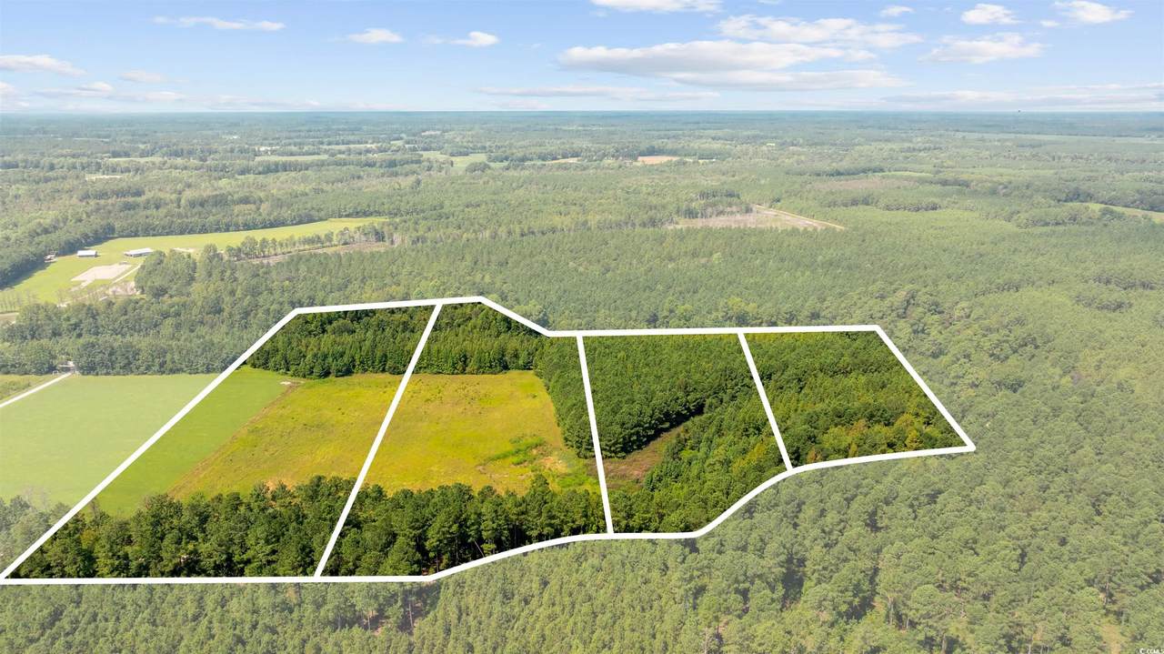LOT 4 Womack Rd. - Photo 1