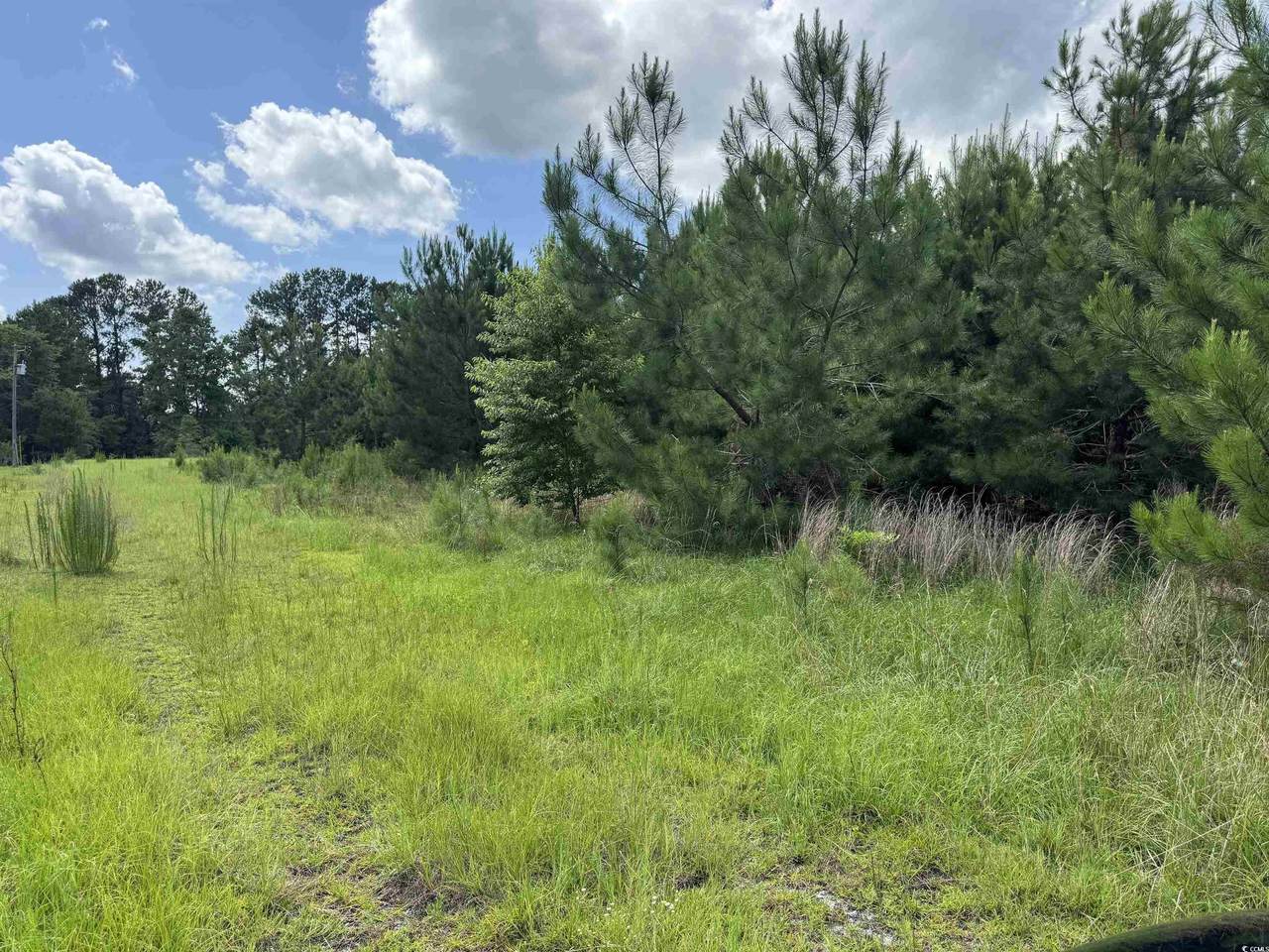 1212 Nursery Rd. - Photo 1