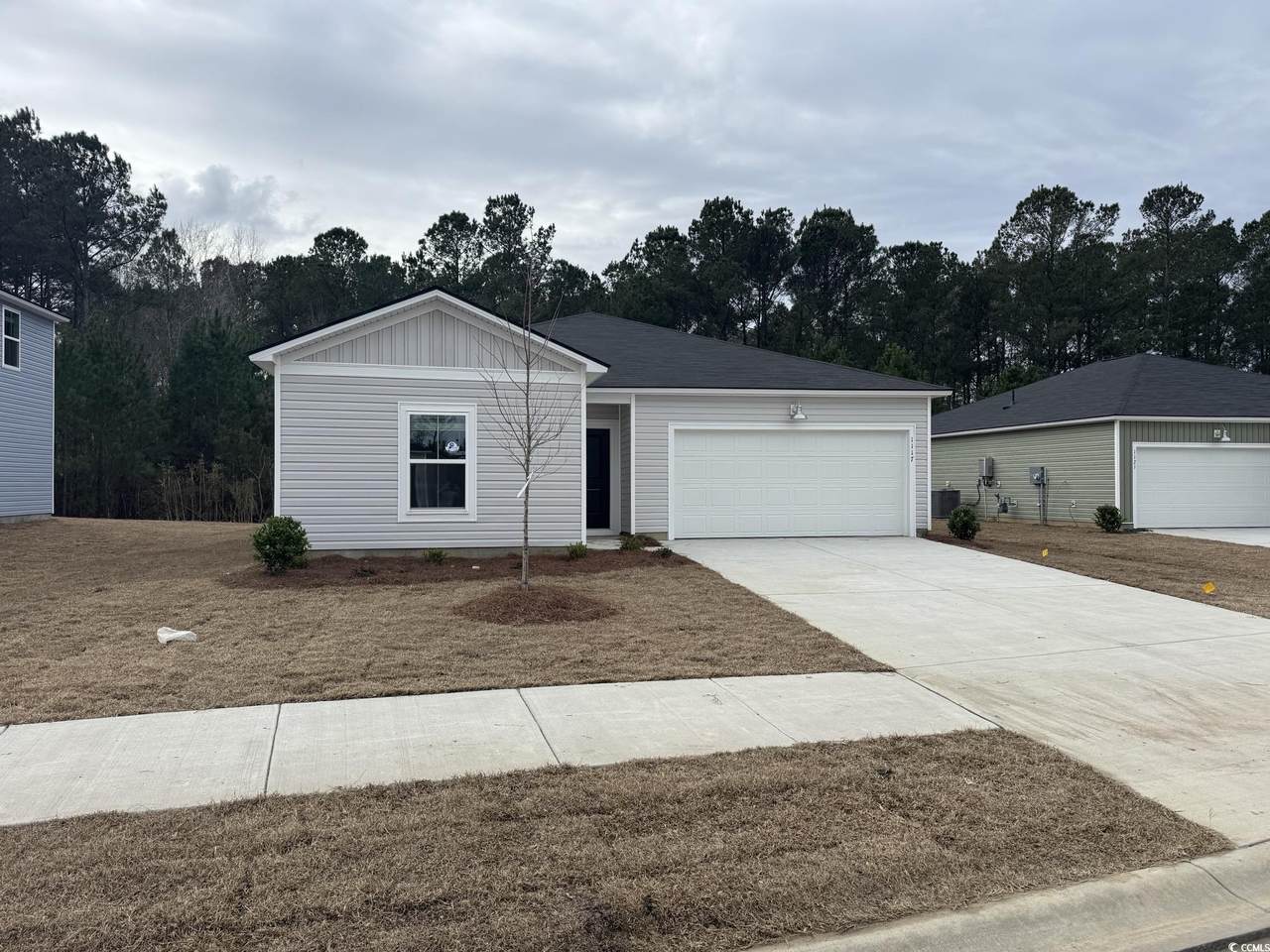 1117 Tibetan St. - Photo 1