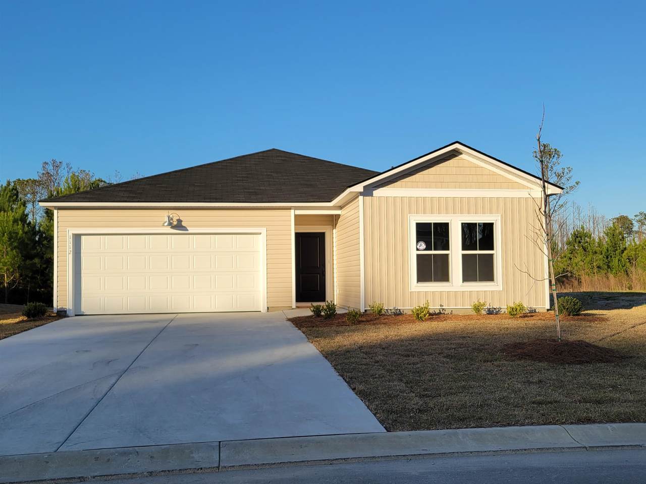1112 Tibetan St. - Photo 1