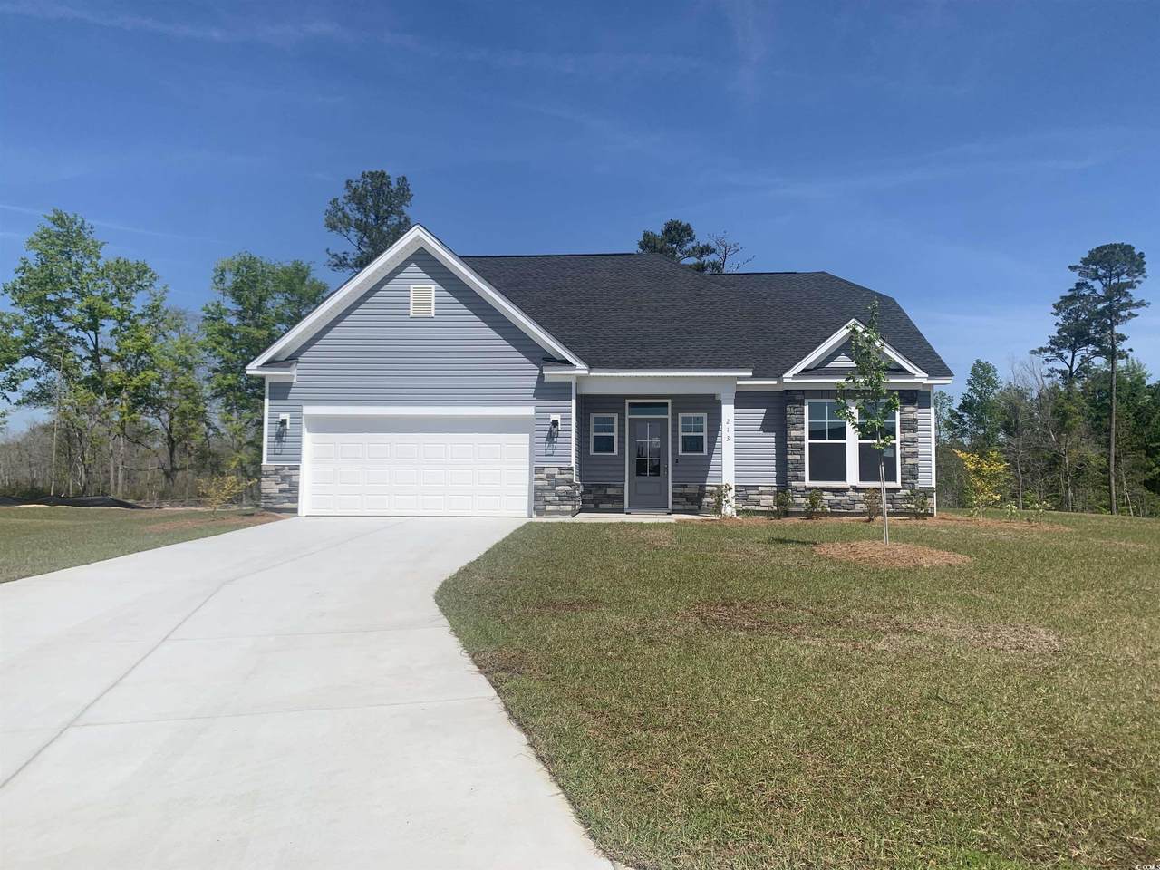 213 Blue Wing Court - Photo 1