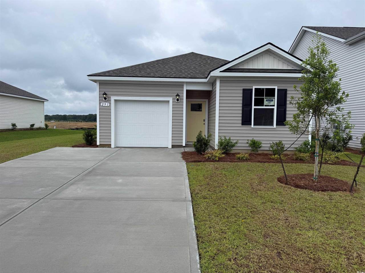 291 Long Beard Way - Photo 1