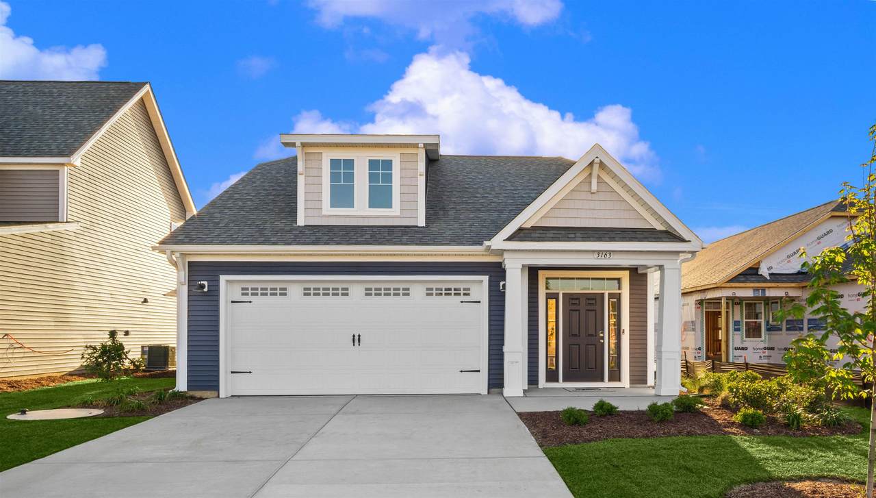 3163 River Crane Loop - Photo 1