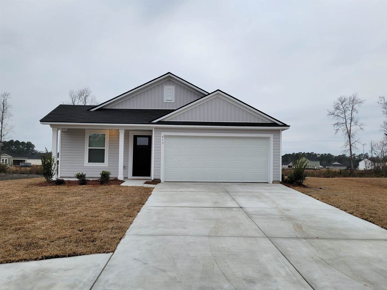 413 Blue Fescue Ct - Photo 1