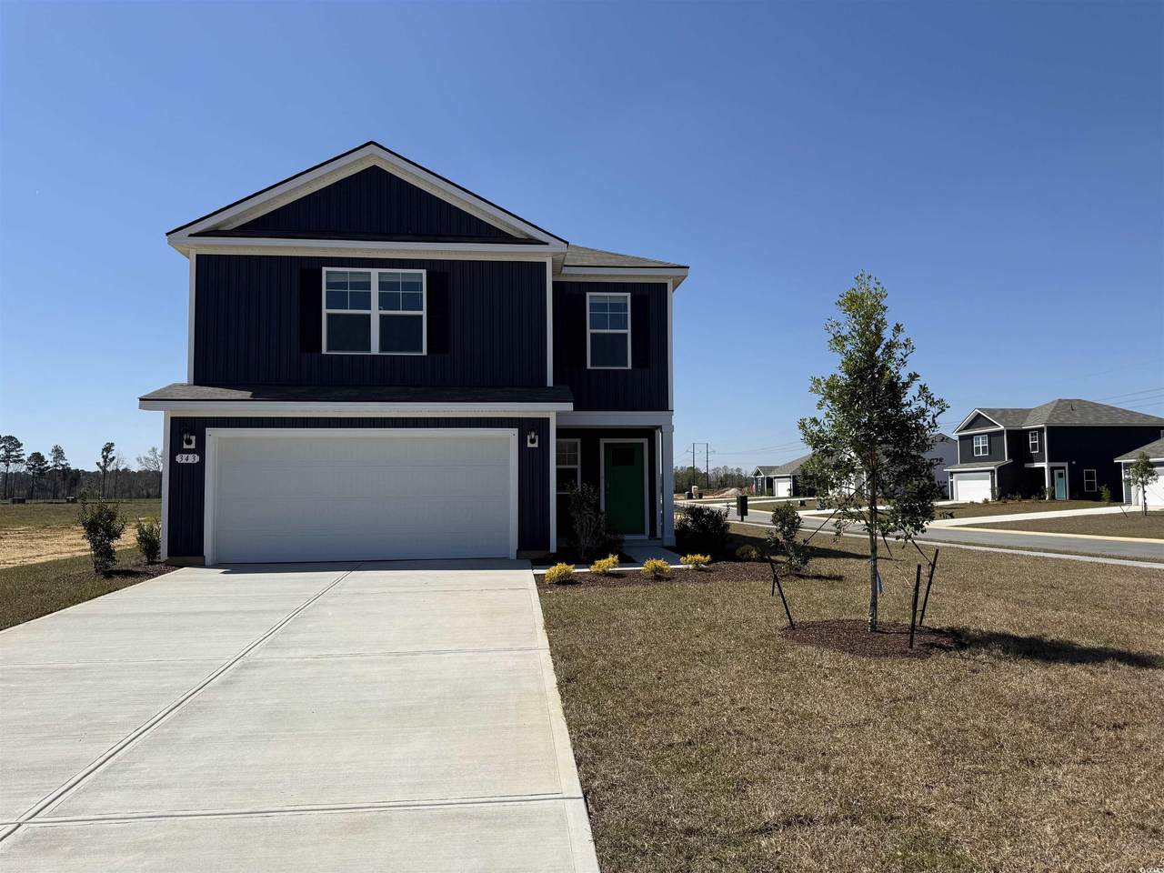 343 Black Gum Dr. - Photo 1