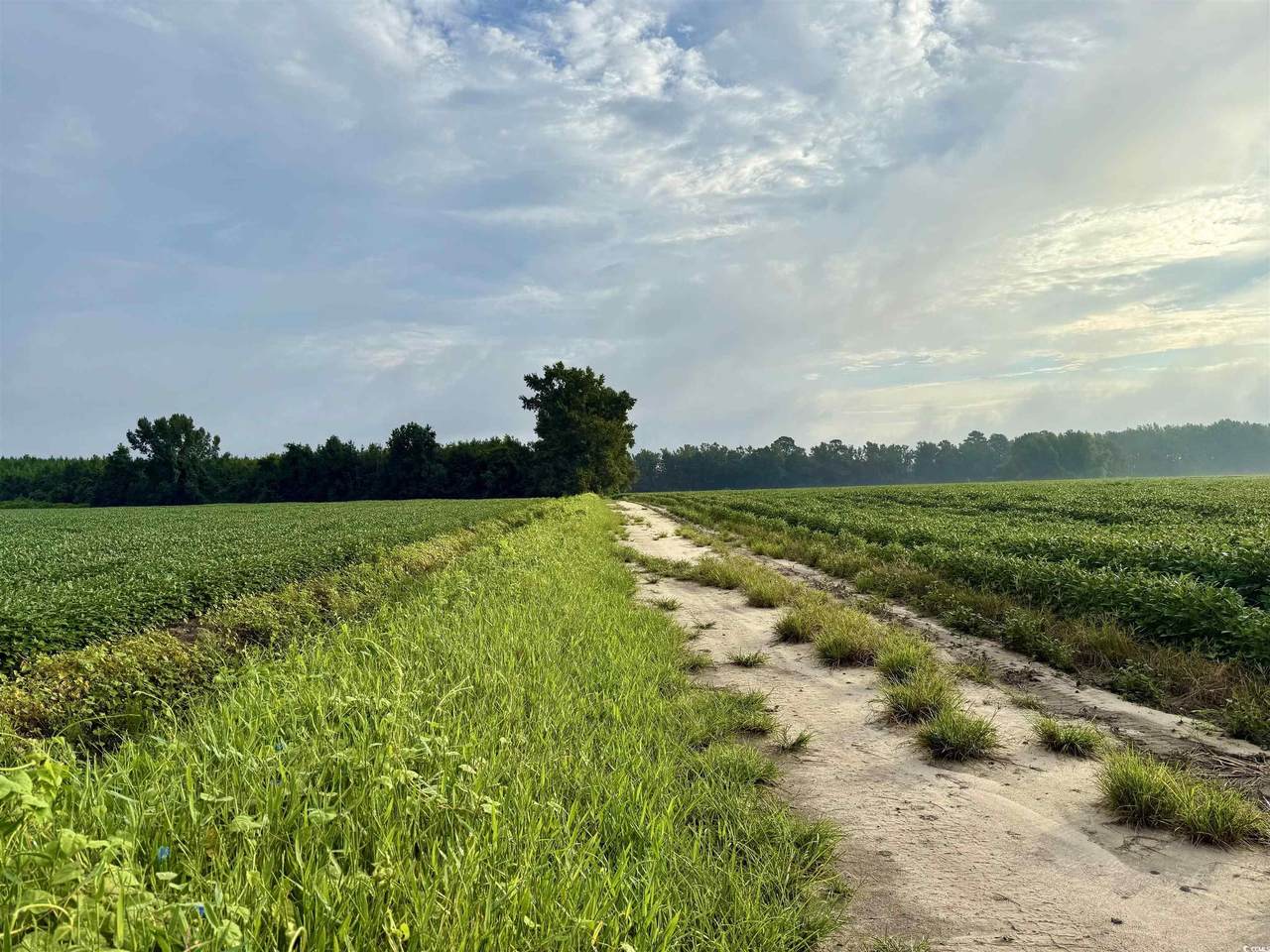 1335 Norwood Rd. - Photo 1