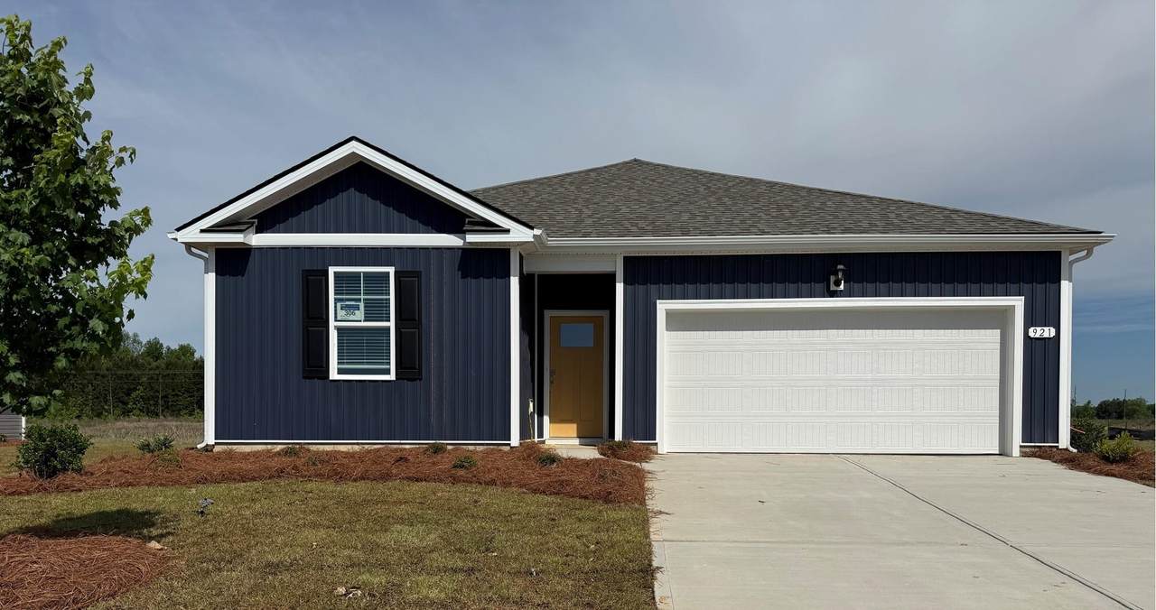 921 Farmers Passage Loop - Photo 1