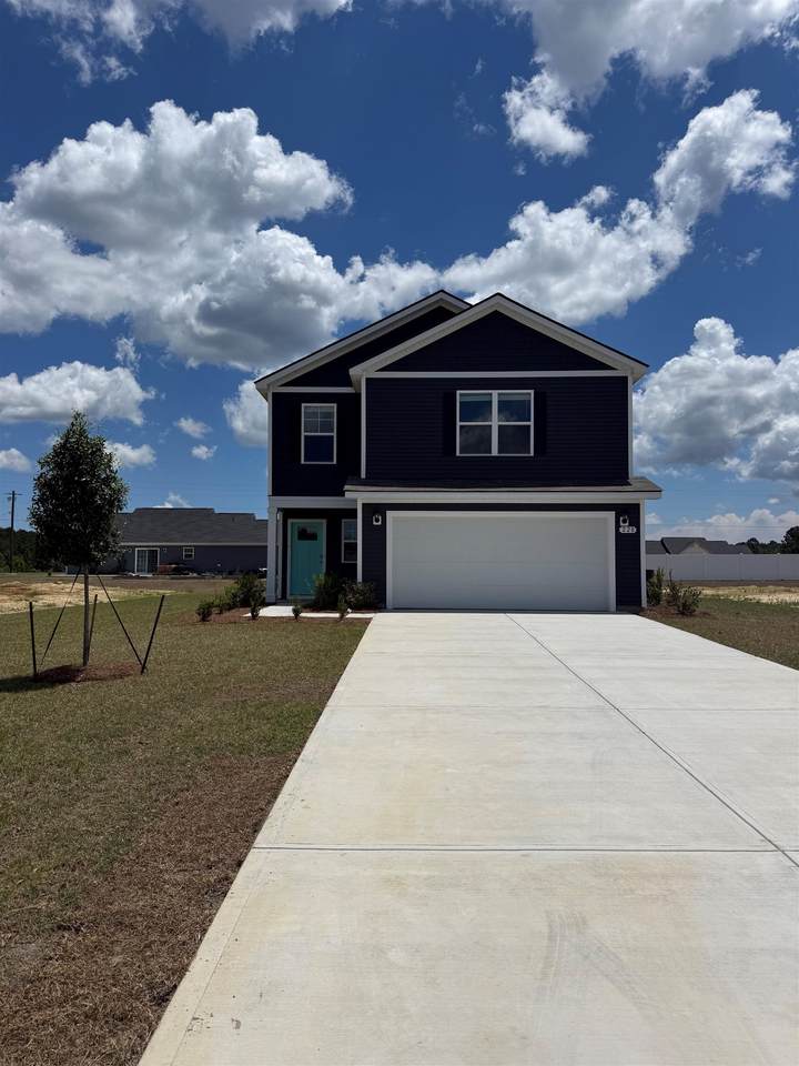 228 Red Buckeye Dr. - Photo 1
