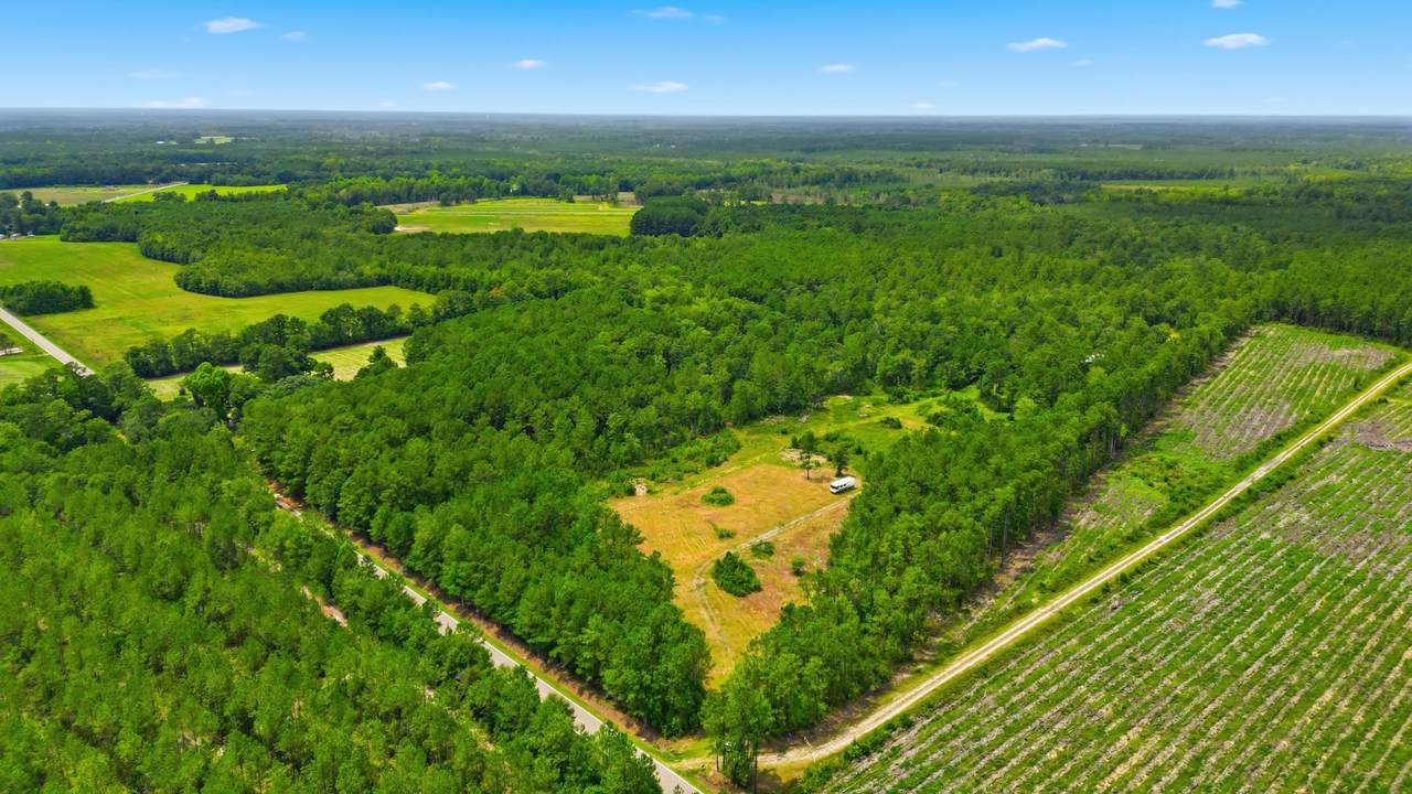 TBD Williams Hill Rd. - Photo 1