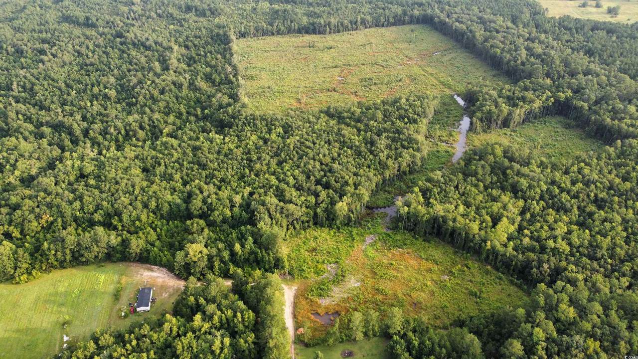 TBD Oak Log Lake Rd. - Photo 1