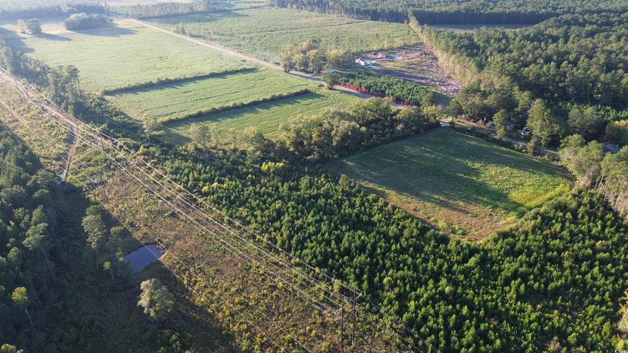 1745 Williams Hill Rd. - Photo 1