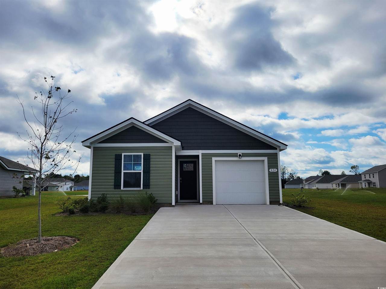 824 Buttonwood Dr. - Photo 1