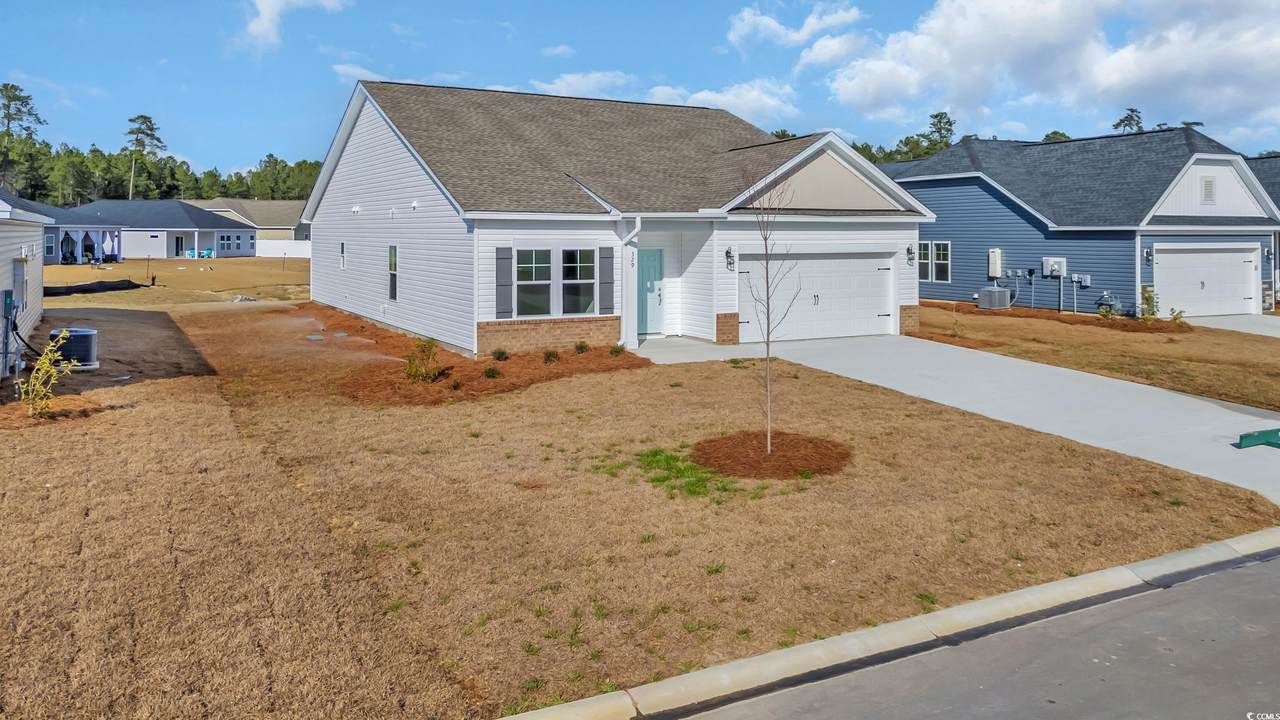 329 Palmetto Sand Loop - Photo 1