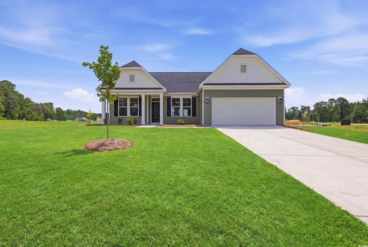 208 Blue Wing Court - Photo 1