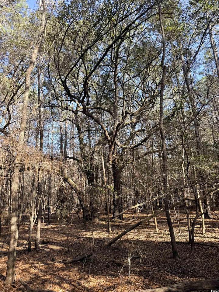  Bryants Landing Rd. - Photo 1