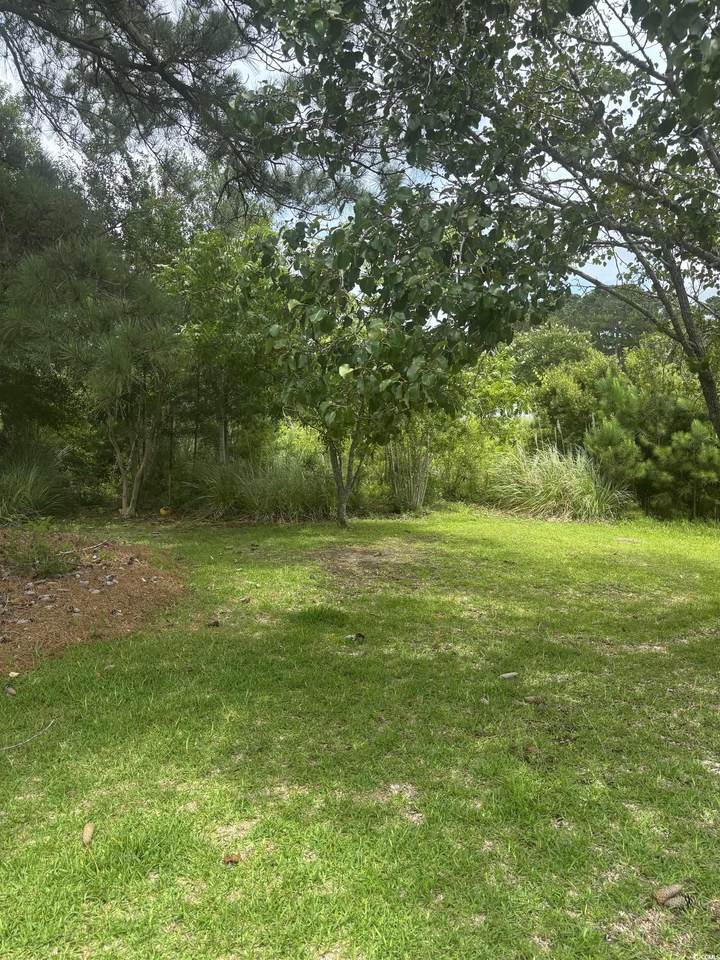 562 Bucks Trail - Photo 1