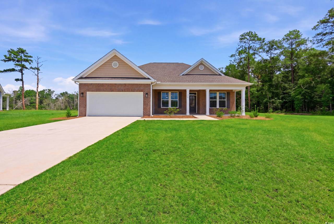 216 Blue Wing Court - Photo 1