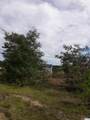 Tract 1 Highway 9 - Photo 28