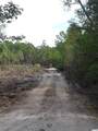 Tract 1 Highway 9 - Photo 31