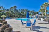 4657 Fringetree Dr. - Photo 35