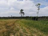 TBD Gum Swamp Rd. - Photo 11