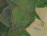 TBD Gum Swamp Rd. - Photo 2