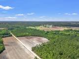 TBD Tansy Rd. - Photo 6