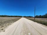 TBD Tansy Rd. - Photo 3