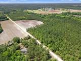 TBD Tansy Rd. - Photo 6