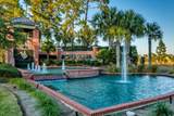 1847 Wood Stork Dr. - Photo 10