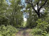 TBD Easler Hwy - Photo 10