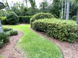 107 Moss Circle - Photo 29