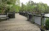 107 Moss Circle - Photo 38