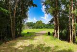TBD Spring Branch Rd. - Photo 29